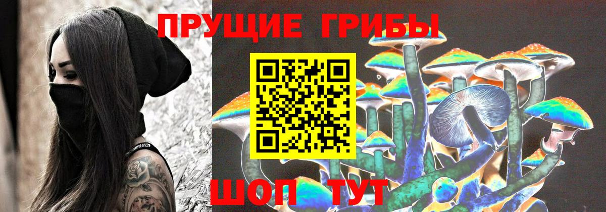 Псилоцибиновые грибы прущие грибы  Вход с VPN  Жуковский  Псилоцибиновые грибы мухоморы 